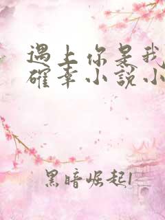 遇上你是我的小确幸小说小说 遇上你是我的小确幸小说小说