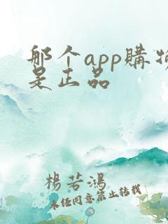 那个app购物是正品