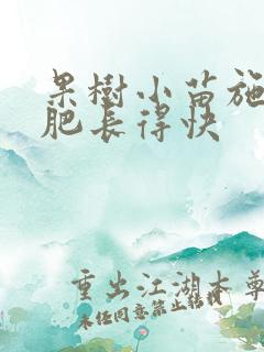 果树小苗施什么肥长得快