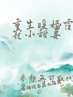 重生暖婚霍总狠宠小甜妻