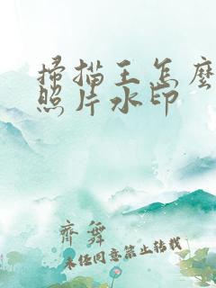 扫描王怎么去除照片水印