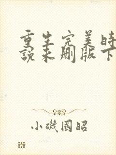 重生完美时代小说未删版下载txt