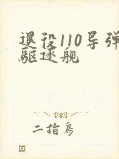 退役110导弹驱逐舰
