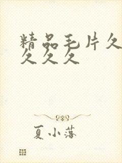 精品毛片久久久久久久
