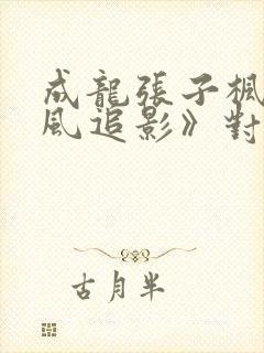 成龙张子枫《捕风追影》对决在线观看