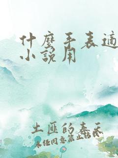 什么手表适合听小说用