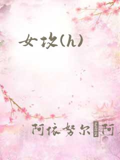 女攻(h)