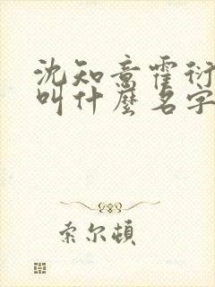 沈知意霍衍小说叫什么名字