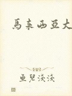 马来西亚大片