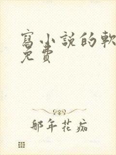 写小说的软件,免费 写小说的软件,免费