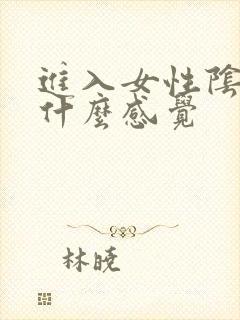 进入女性阴道是什么感觉