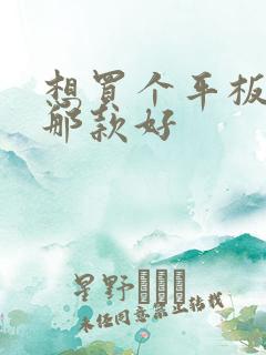 想买个平板画画那款好