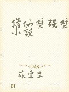 修仙双强双男主小说