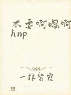 不要啊嗯啊啊啊hnp