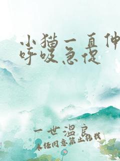 小猫一直伸舌头呼吸急促 小猫一直伸舌头呼吸急促