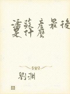 潘苏彦最后结局是什么