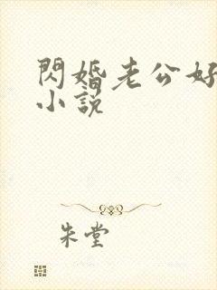 闪婚老公好神秘小说