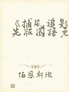 《捕风追影》抢先版国语免费观看