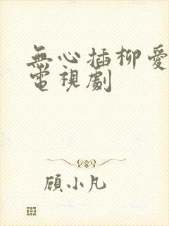 无心插柳爱成荫电视剧