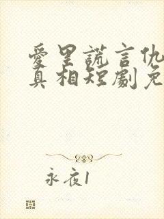 爱里谎言仇恨的真相短剧免费观看