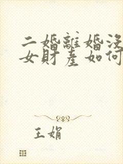 二婚离婚没有子女财产如何分割新婚姻法