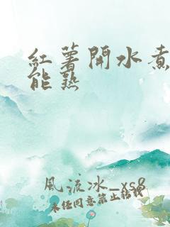 红薯开水煮多久能熟