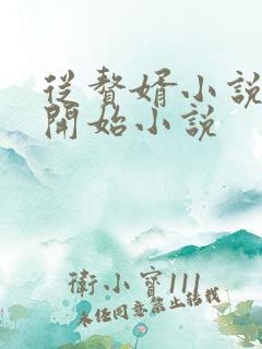 从赘婿小说反派开始小说
