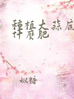 种植大蒜底肥用什么肥