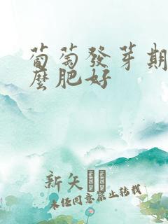 葡萄发芽期施什么肥好