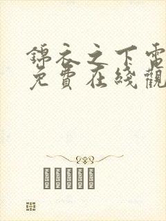 锦衣之下电视剧免费在线观看全集