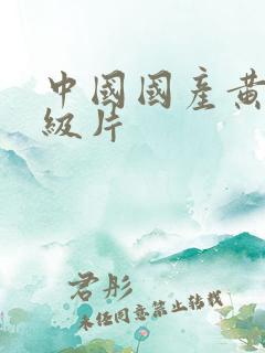 中国国产黄色一级片