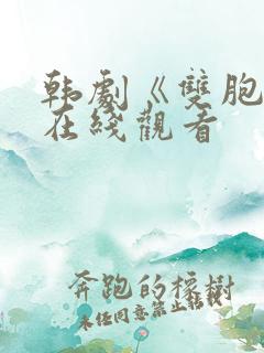 韩剧《双胞胎》在线观看