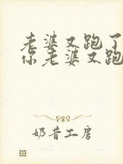 老婆又跑了少帅你老婆又跑了
