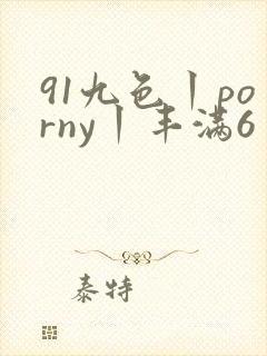 91九色丨porny丨丰满6