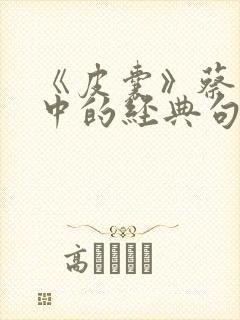 《皮囊》蔡崇达中的经典句子