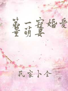 第一宠婚爱上限量萌妻