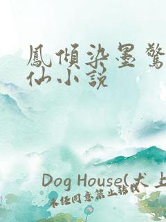 凤倾染墨惊鸿修仙小说
