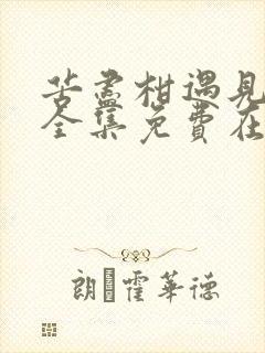 苦尽柑遇见你来全集免费在线观看