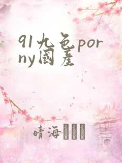91九色porny国产