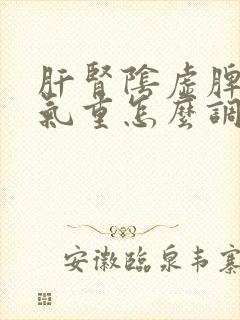 肝肾阴虚脾虚湿气重怎么调理