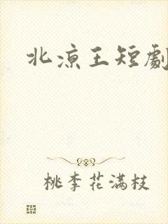 北凉王短剧全集