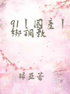 91丨国产丨捆绑调教