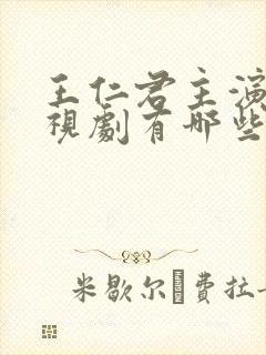 王仁君主演的电视剧有哪些