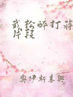 武松醉打蒋门神片段