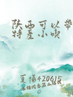 陕西可以带走的特产小吃
