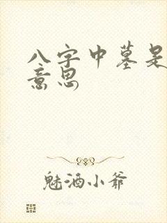 八字中墓是什么意思