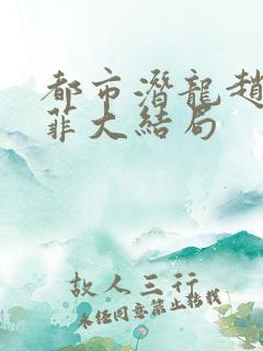 都市潜龙赵东苏菲大结局