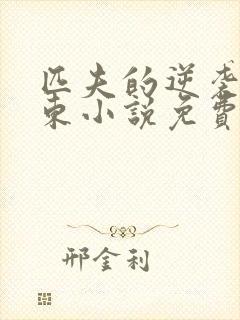 匹夫的逆袭刘汉东小说免费阅读