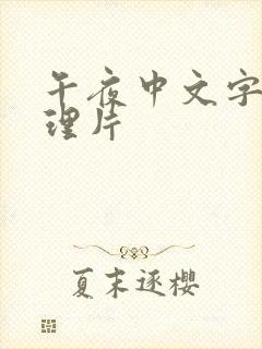 午夜中文字幕伦理片