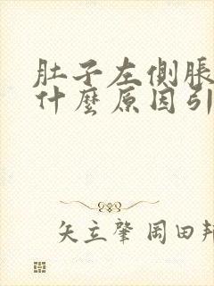 肚子左侧胀疼是什么原因引起的